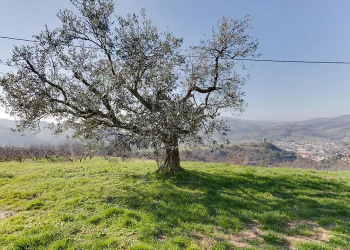 Ca Decio Agroturismo *